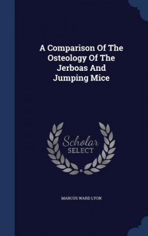 Comparison of the Osteology of the Jerboas and Jumping Mice