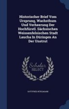 Historischer Brief Vom Ursprung, Wachsthum Und Verheerung Der Hochfurstl. Sachsischen Weissenfelsischen Stadt Laucha in Duringen an Der Unstrut