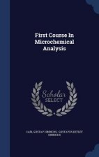 First Course in Microchemical Analysis