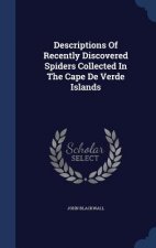 Descriptions of Recently Discovered Spiders Collected in the Cape de Verde Islands