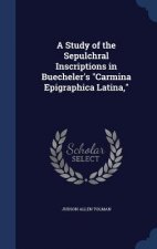 Study of the Sepulchral Inscriptions in Buecheler's Carmina Epigraphica Latina,