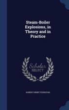 Steam-Boiler Explosions, in Theory and in Practice