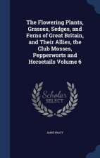 Flowering Plants, Grasses, Sedges, and Ferns of Great Britain, and Their Allies, the Club Mosses, Pepperworts and Horsetails Volume 6