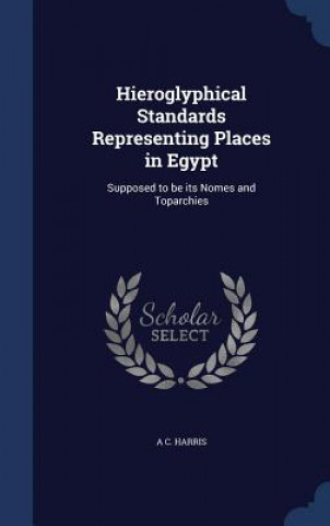 Hieroglyphical Standards Representing Places in Egypt