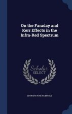 On the Faraday and Kerr Effects in the Infra-Red Spectrum
