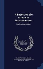 Report on the Insects of Massachusetts