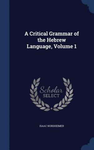 Critical Grammar of the Hebrew Language, Volume 1