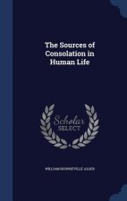 Sources of Consolation in Human Life