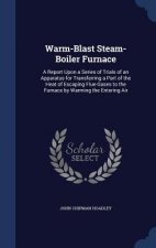Warm-Blast Steam-Boiler Furnace