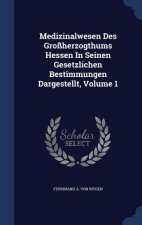Medizinalwesen Des Grossherzogthums Hessen in Seinen Gesetzlichen Bestimmungen Dargestellt, Volume 1
