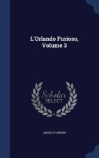 L'Orlando Furioso, Volume 3