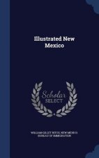 Illustrated New Mexico
