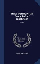 Elinor Wyllys; Or, the Young Folk of Longbridge