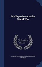 My Experience in the World War