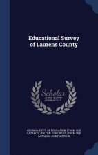 Educational Survey of Laurens County