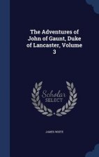 Adventures of John of Gaunt, Duke of Lancaster, Volume 3
