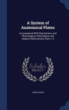 System of Anatomical Plates