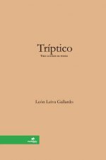 Triptico [Tres Lustros De Poesia]