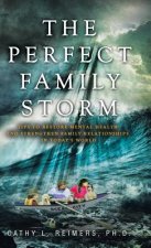 Perfect Family Storm