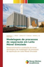 Modelagem de processos de separacao em Leito Movel Simulado