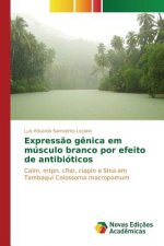 Expressao genica em musculo branco por efeito de antibioticos