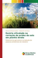 Escoria silicatada na correcao da acidez do solo em plantio direto