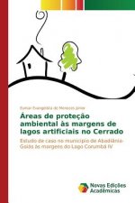 Areas de protecao ambiental as margens de lagos artificiais no Cerrado