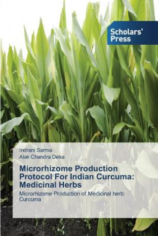 Microrhizome Production Protocol For Indian Curcuma