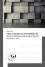 Modelisation Hierarchique de Donnees Multidimensionnelles