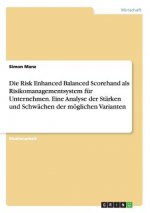 Risk Enhanced Balanced Scorehand als Risikomanagementsystem fur Unternehmen. Eine Analyse der Starken und Schwachen der moeglichen Varianten