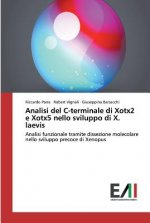 Analisi del C-terminale di Xotx2 e Xotx5 nello sviluppo di X. laevis