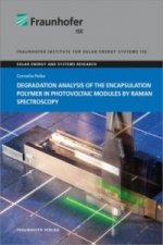Degradation Analysis of the Encapsulation Polymer in Photovoltaic Modules by Raman Spectroscopy.