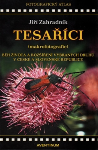 Tesaříci