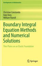 Boundary Integral Equation Methods and Numerical Solutions