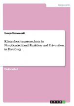 Küstenhochwasserschutz in Norddeutschland.Reaktion und Prävention in Hamburg