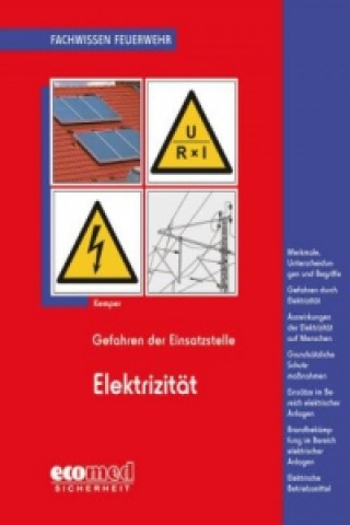 Elektrizität