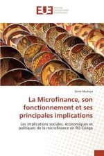 La Microfinance, Son Fonctionnement Et Ses Principales Implications