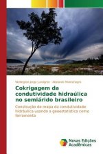 Cokrigagem da condutividade hidraulica no semiarido brasileiro