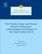 New Trends in Basic and Clinical Research of Glaucoma: A Neurodegenerative Disease of the Visual System - Part B