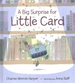 Big Surprise for Little Card