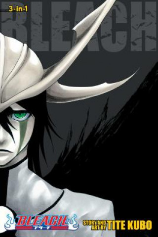 Bleach (3-in-1 Edition), Vol. 14