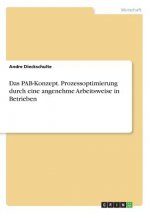 Das PAB-Konzept. Prozessoptimierung durch eine angenehme Arbeitsweise in Betrieben