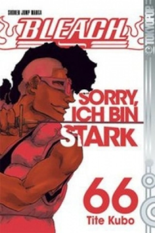 Bleach - Der gewöhnliche Friede
