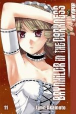 Brynhildr in the Darkness. Bd.13