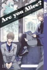 Are you Alice?. Bd.12