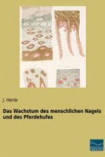 Das Wachstum des menschlichen Nagels und des Pferdehufes