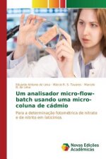 Um analisador micro-flow-batch usando uma micro-coluna de cadmio