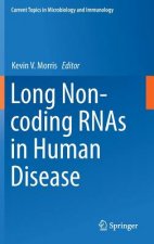 Long Non-coding RNAs in Human Disease