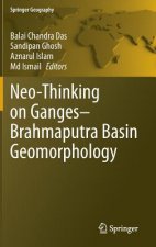 Neo-Thinking on Ganges-Brahmaputra Basin Geomorphology