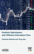 Portfolio Optimization with Different Information Flow